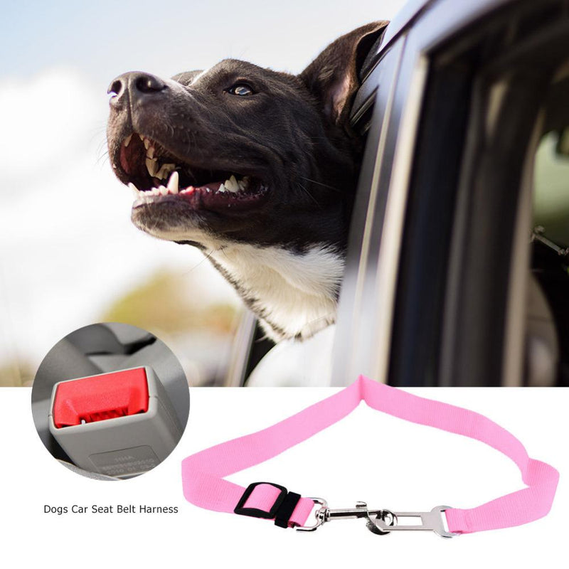 Safety Belt for Dogs