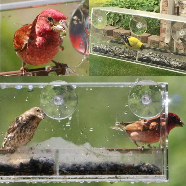 Window Bird Feeder - Clear Wild Bird Watching