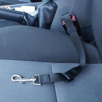 Pet Seat Belt (6 Colors Available)