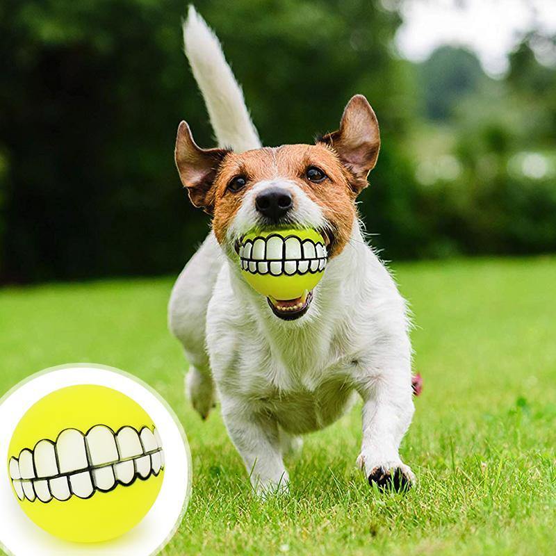 2 pcs Pet Ball with Funny Teeth