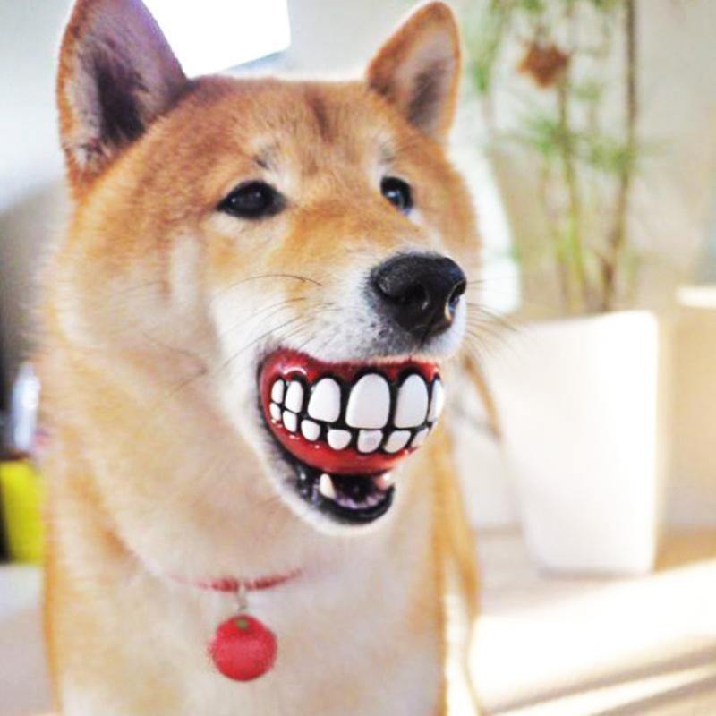 2 pcs Pet Ball with Funny Teeth